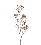 Kvist - Talinum - Brun - 65 cm - www.frokenfraken.se