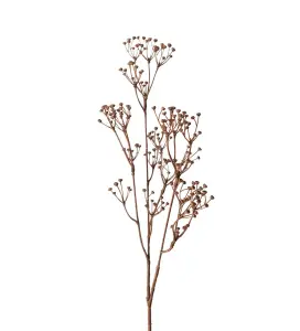 Kvist - Talinum - Brun - 65 cm - www.frokenfraken.se