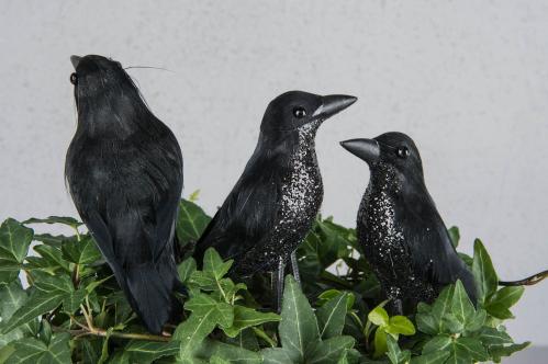 Fågel - Korp på sticks - Svart - 13 x 8 x 5 cm - www.frokenfraken.se