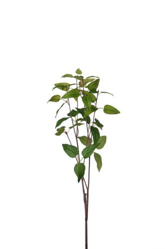 Kvist - Grön - 63 cm - www.frokenfraken.se