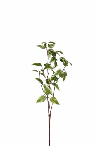 Kvist - Grön - 63 cm - www.frokenfraken.se