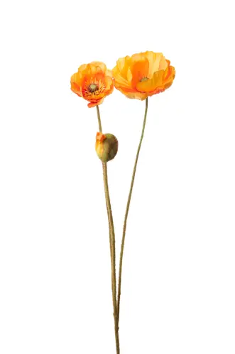 Vallmo - Orange - 75 cm - www.frokenfraken.se