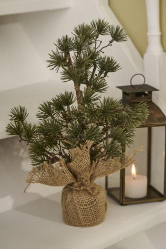 Lärkträd i jutekruka - 34 cm - www.frokenfraken.se