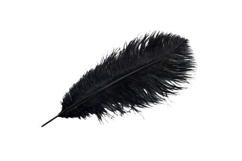 Strutsfjäder - Svart - 35 cm - www.frokenfraken.se