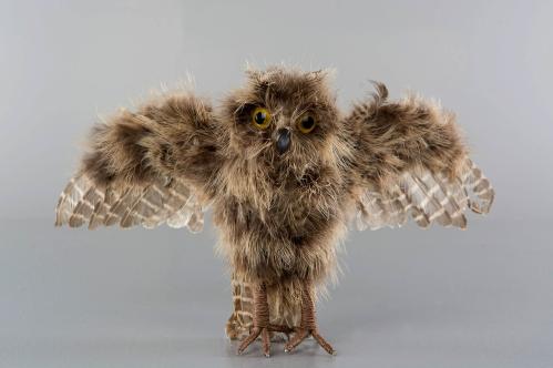 Fågel - Uggla - Flygande - Natur - 32 x 23 cm - www.frokenfraken.se