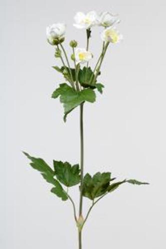 Anemon - Vit - 137 cm - www.frokenfraken.se