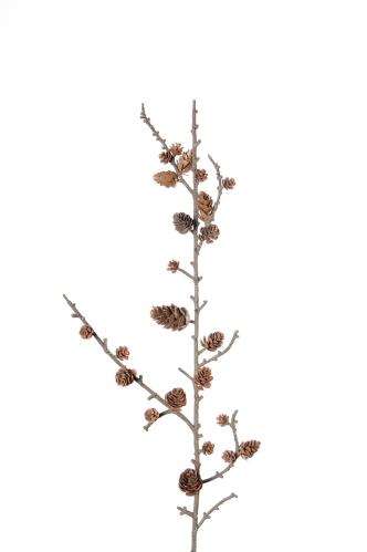 Kvist med kottar - Brun - 65 cm - www.frokenfraken.se