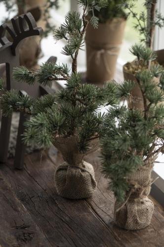 Lärkträd i jutekruka - 34 cm - www.frokenfraken.se