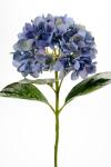 Hortensia - Blå - 65 cm - www.frokenfraken.se
