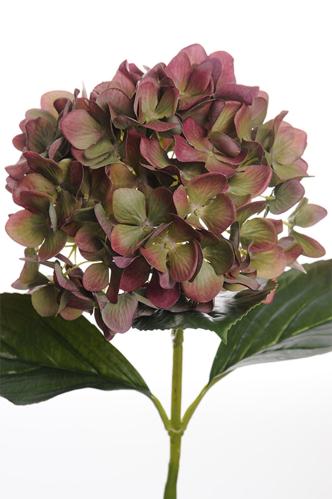 Hortensia - Röd - 65 cm - www.frokenfraken.se