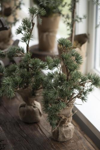 Lärkträd i jutekruka - 34 cm - www.frokenfraken.se