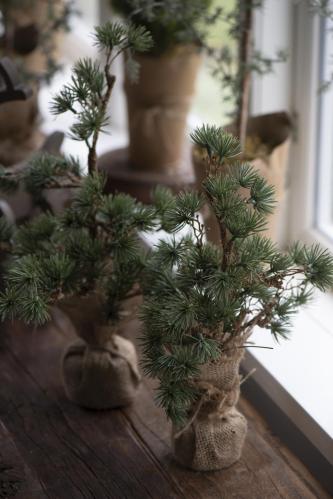 Lärkträd i jutekruka - 34 cm - www.frokenfraken.se