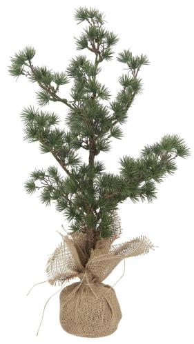 Lärkträd i jutekruka - 60 cm - www.frokenfraken.se