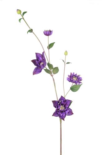 Clematis - Blå - 110 cm - www.frokenfraken.se