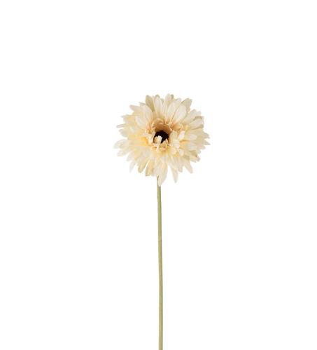 Gerbera - Cream - 55 cm - www.frokenfraken.se