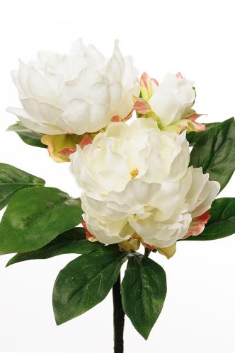 Pion - Vit - 30 cm - www.frokenfraken.se