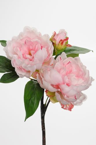 Pion - Rosa - 30 cm - www.frokenfraken.se