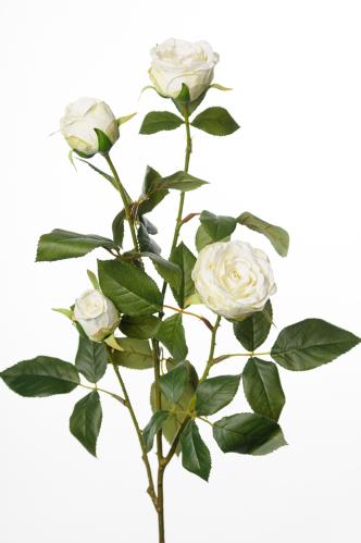 Ros - Vit - 60 cm - www.frokenfraken.se
