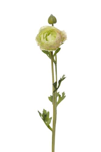 Ranuncel - Grön - 36 cm - www.frokenfraken.se