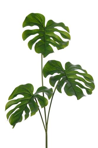 Monstera blad - Grön - 75 cm - www.frokenfraken.se