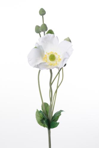 Anemon - Vit - 75 cm - www.frokenfraken.se