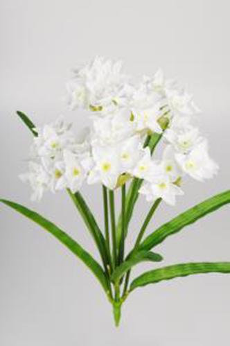 Narciss - Vit - 43 cm - www.frokenfraken.se