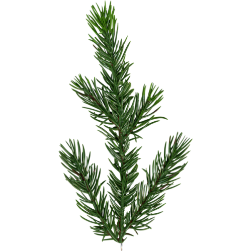 Julgran med belysning - dovre - 200 cm - 240 lampor - Inomhus & Utomhusbruk - www.frokenfraken.se
