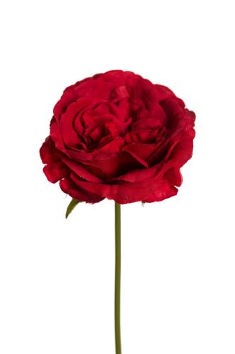 Ros - Röd - 25 cm - www.frokenfraken.se