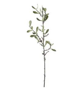 Mistel - Grön - 65 cm - www.frokenfraken.se