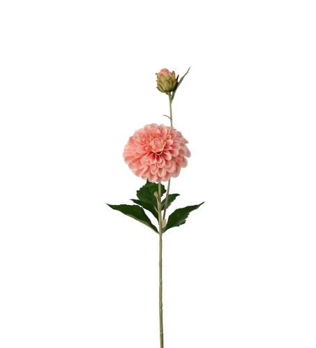 Dahlia - Aprikos - 66 cm - www.frokenfraken.se