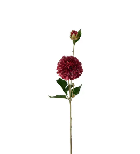 Dahlia - Burgundy - 66 cm - www.frokenfraken.se