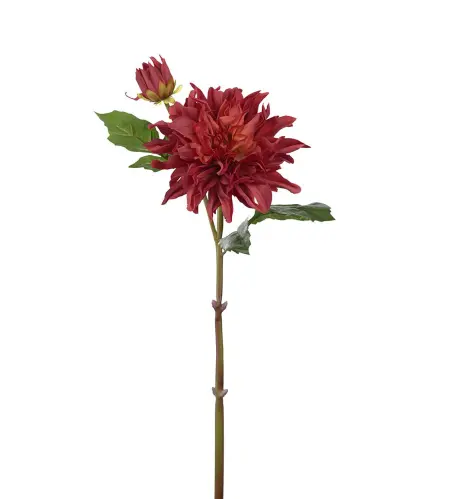 Dahlia - Röd - 70 cm - www.frokenfraken.se
