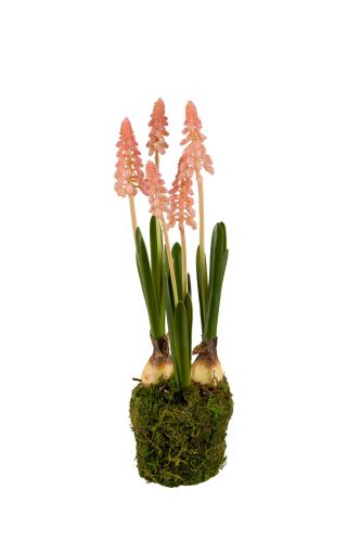 Pärlhyacint - Rosa - 25 cm - www.frokenfraken.se