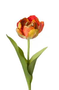 Tulpan - Orange - 36 cm - www.frokenfraken.se