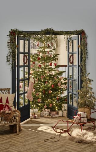 Lärkträd Naturtroget - 120 cm - www.frokenfraken.se