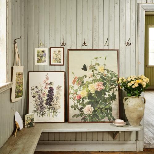 Poster - Vintage - Rosenbuske - 70 x 100 cm - www.frokenfraken.se