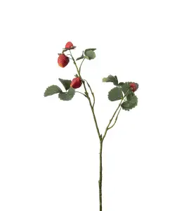 Jordgubbskvist - Röd - 50 cm - www.frokenfraken.se