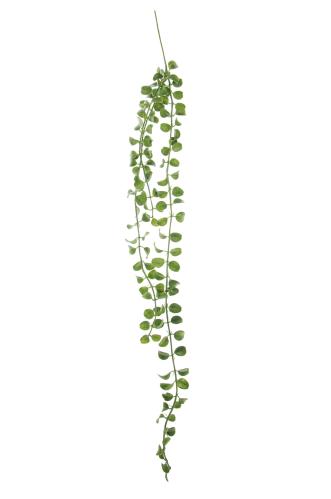Senecio - Grön - 80 cm - www.frokenfraken.se
