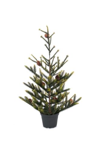 Gran - Grön - 55 cm - www.frokenfraken.se