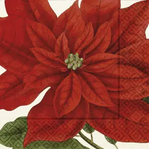 Servett - Julstjärna - 33 x 33 cm - www.frokenfraken.se