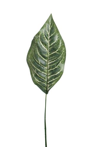 Blad - Grön - 66 cm - www.frokenfraken.se