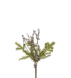 Grankvist bunt - Grön - 25 cm - www.frokenfraken.se