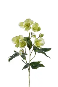 Julros - Grön - 57 cm - www.frokenfraken.se