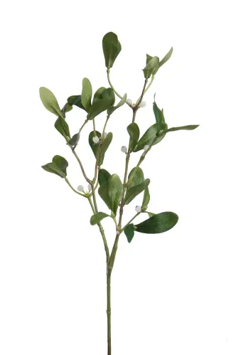 Mistel - Grön - 60 cm - www.frokenfraken.se