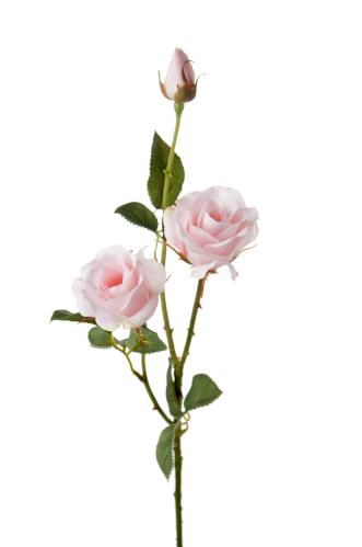 Ros - Rosa - 68 cm - www.frokenfraken.se