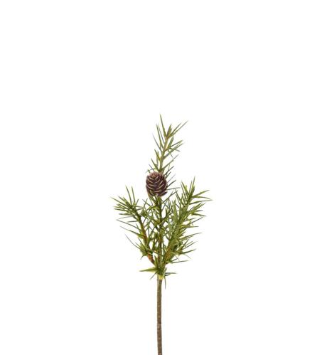 Grankvist med kottar - Grön - 20 cm - www.frokenfraken.se