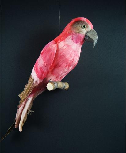 Papegoja - Rosa - Hängande - 40 cm - www.frokenfraken.se