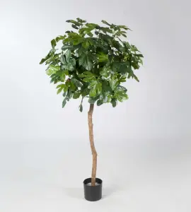 Fikonträd - Konstväxt - 140 cm - www.frokenfraken.se