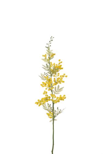 Mimosa - Gul - 70 cm - www.frokenfraken.se