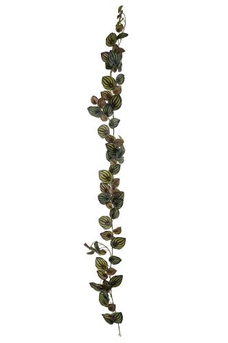 Peperomia girlang - Grön - 180 cm - www.frokenfraken.se